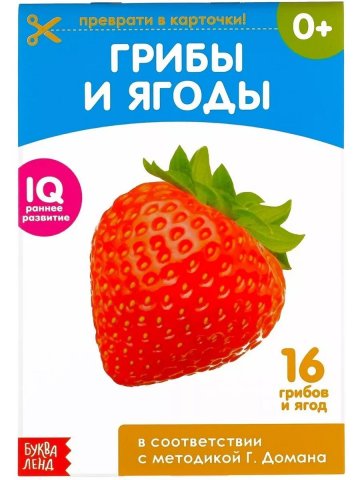Обучающая книжка по методике Г. Домана - Грибы и ягоды Обучающая книжка по методике Г. Домана - Грибы и ягоды